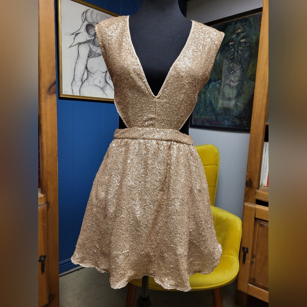 Windsor Sequined Dress With Side Cutouts Size M